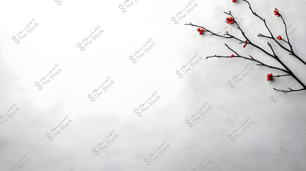 An image depicting a delicate branch with clusters of small red berries located on the right side of the image. The background is soft and white, accentuating the contrast with the dark branches and berries.