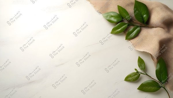 An image of a slanted surface with rough brown fabric in the top right corner, over which extends a cluster of glossy green leaves. The background is a light shade with subtle marbled patterns.