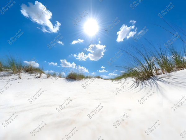 A view of a desert area with soft white sand and scattered plants under a clear blue sky. The sun is shining brightly, surrounded by a few scattered white clouds.