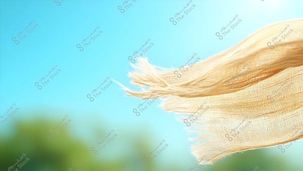 Image of a light-colored, sheer fabric fluttering in the air against a bright blue sky background. The fabric appears light and soft, gently moving with the breeze. Near the bottom of the image, some faint shadows and greenery are visible.