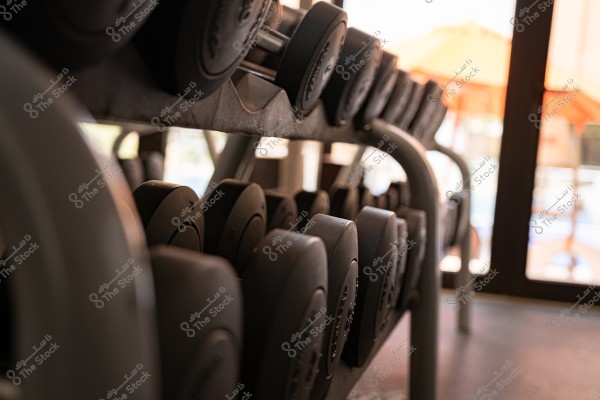 رف يحتوي على مجموعة من الأثقال الحديدية المرتبة في صالة رياضية بإضاءة طبيعية تُظهر تفاصيل الأثقال. تبدو الأوزان بأحجام مختلفة على الرف المعدني, وتدخل أشعة الشمس من النوافذ في الخلفية.