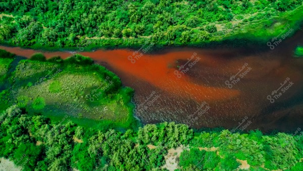 صورة جوية لمنطقة وادي حلي طبيعية تظهر نهرًا ضيقًا بلون بني محاط بمساحات خضراء كثيفة. النباتات الخضراء تغطي جانبي النهر, مما يضفي تباينًا جميلًا مع لون الماء الداكن. تتميز الصورة بتفاصيل دقيقة للخضرة المحيطة وطبيعة التضاريس.