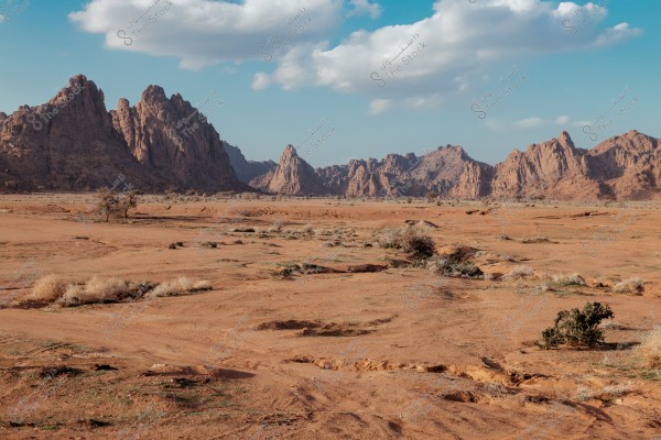 A natural landscape of wide desert plains extending in front of a series of rugged rocky mountains in the background. The sky is clear with some scattered white clouds. Small plants and shrubs are spread across the barren brown terrain.