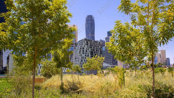 An image depicting an urban landscape featuring green trees in the foreground with modern skyscrapers in the background under a clear blue sky. The buildings showcase a variety of modern architectural designs.