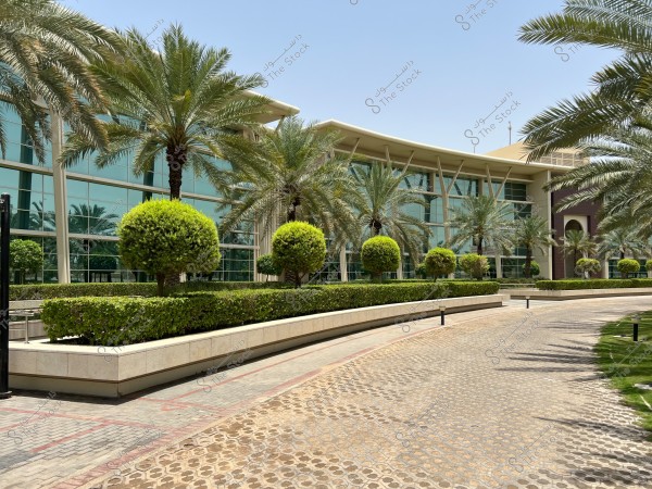 Image of a modern building with a large glass facade surrounded by palm trees and neatly arranged plants on a flat terrain. The pathway is attractively paved with grassy areas on the right.