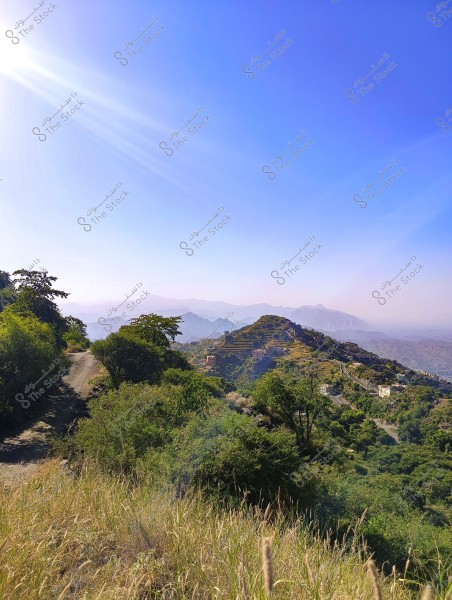 The image depicts a mountainous landscape on a sunny day with a clear blue sky. A dirt path winds through dense green foliage in the foreground, while rolling hills covered with trees stretch into the background. Small buildings, seemingly made from natural materials, are visible on the hills, offering a picturesque view harmonizing with nature.