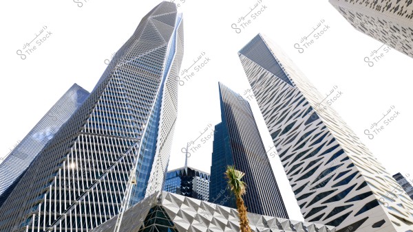 The image shows a collection of modern skyscrapers with unique and innovative architectural designs under a clear sky. The buildings feature glass facades with intricate geometric patterns. A palm tree is in the foreground, adding a natural touch to the scene.