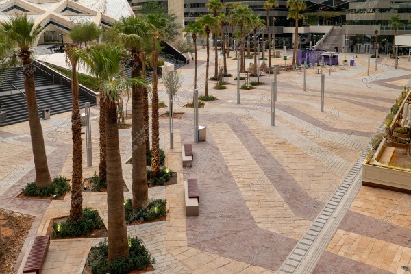 A large urban plaza with light-colored geometric patterned paving. Rows of palm trees with greenery at their bases are planted throughout the area. The setting includes modern benches and ground lighting, with modern buildings featuring distinctive angular architectural designs in the background.