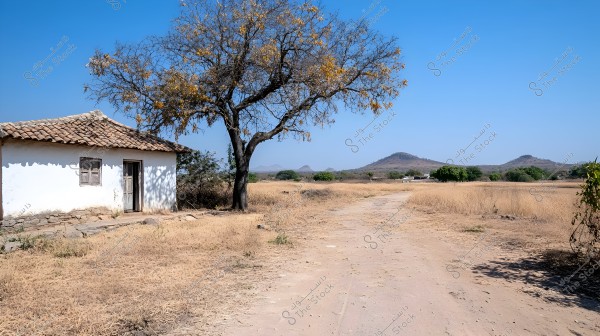 The image shows a small cottage beside a dirt road in a dry rural area. The cottage has white walls and a tiled roof. In front of the cottage is a tree with sparse leaves, surrounded by dry land with sparse green vegetation. In the background, small hills are visible under a clear blue sky.