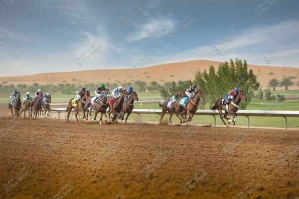 A horse race taking place on a desert track with a backdrop of sand dunes and palm trees. The image shows several horses racing side by side, with jockeys wearing colorful racing attire, such as patterned outfits and helmets. The sky is blue with some scattered clouds.