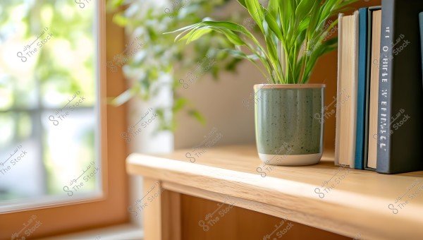 Image showing a potted plant in a green pot placed on a wooden shelf next to a stack of books. In the background, a window reveals a sunlit natural view.