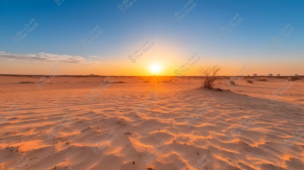 Desert landscape at sunset, with the sun casting golden-orange rays across the horizon. The sand appears wavy due to the wind, with some scattered bushes. The sky is clear blue with a few thin white clouds.