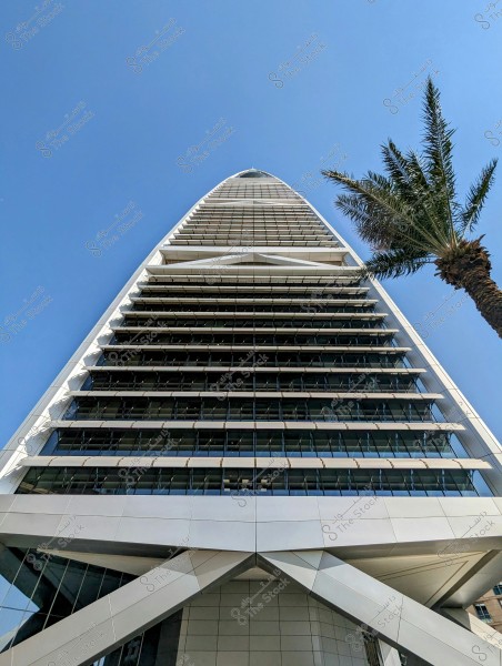 An image of a tall building with a sleek modern architectural design reaching up toward the clear sky. Next to the building, there\'s a palm tree adding a natural element to the scene. The glass facade of the building reflects the light, giving a sense of modernity.