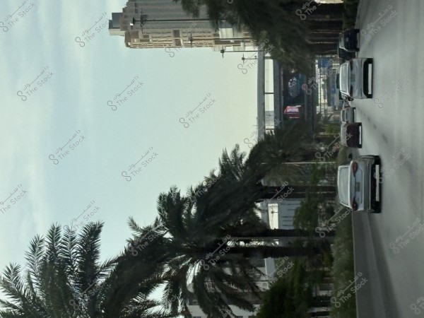 الرياض صباح ثاتي العيد بجمالها