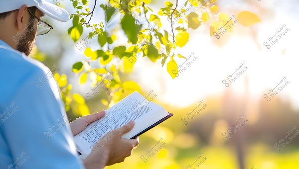 A person wearing a cap and a blue shirt is reading a book outdoors. The scene is captured with a green glow from the surrounding tree leaves, with sunlight in the background adding beauty to the image.