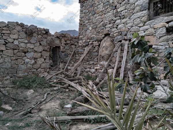 An image of crumbling stone walls of an old structure, featuring an ancient wooden door. The stones are neatly arranged, suggesting part of a historical or traditional building. In front of the walls, pieces of wood are scattered on the ground, with some overgrown by green plants. In the foreground, part of a shrub-like plant adds greenery to the scene.