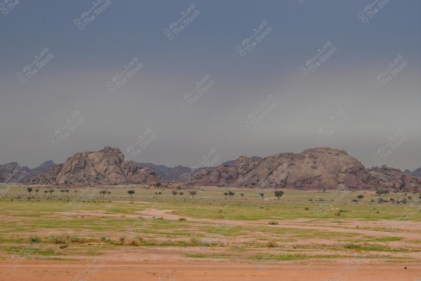 A natural landscape of a desert with prominent rocky mountains under a clear blue sky. Green lands with low vegetation stretch across the sandy terrain.