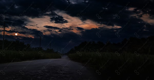 An aesthetic shot during sunset of a road between palm farms in Al-Ahsa, agricultural wealth, agriculture, nature in Saudi Arabia.