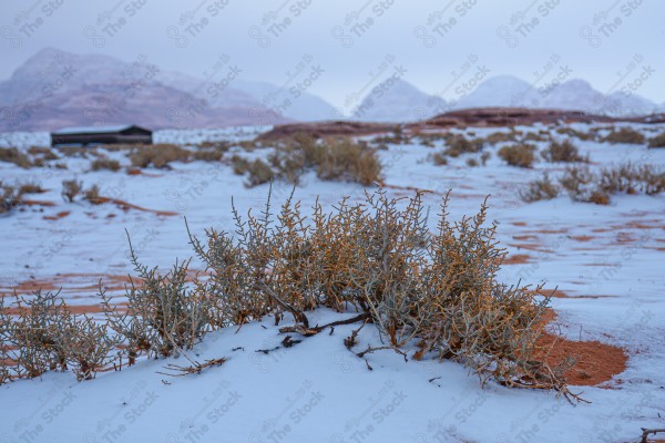 لقطة للجبال الثلجية في احد المناطق بالسعودية وتبدو السماء شبة غائمة ، شتاءً، سلسلة من الجبال تكسوها الثلوج نهارًا