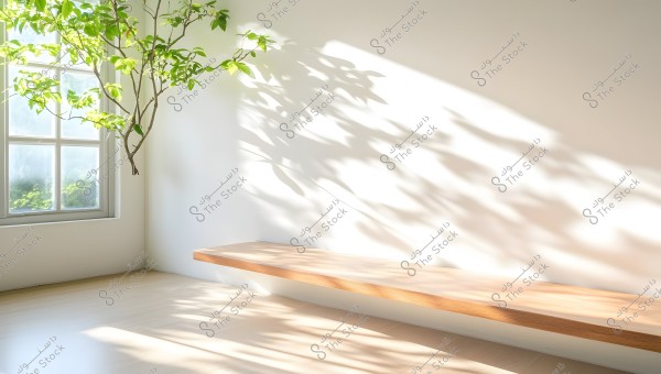 Image of a bright room featuring a large window allowing natural light to stream in. An indoor tree with green leaves is positioned near the window, with its trunk extending inside. Shadows are cast on the white wall and wooden floor, creating a natural and serene atmosphere. A simple wooden bench is mounted on the wall.