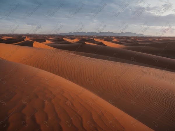 A shot of the golden sand dunes in the Saudi desert and the sky appears clear during the day, the Empty Quarter, desert areas, designed by Ai.