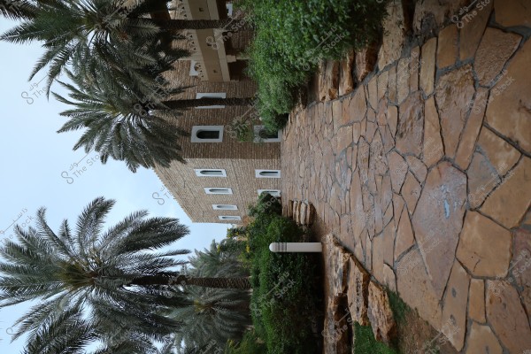 A stone-paved pathway surrounded by green plants and palm trees. On the left side, there is a building with brown stone walls and rectangular white windows. The sky is blue, and a white light post stands by the pathway.