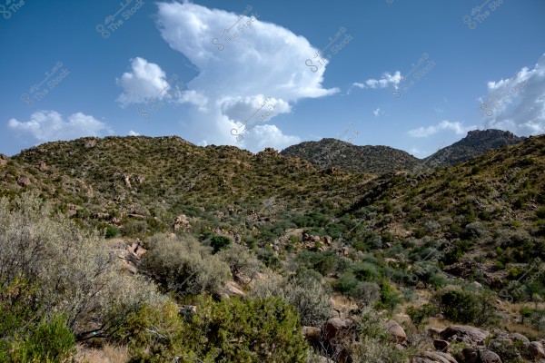 Scenic view of landscape against sky,  A beautiful view of Wadi Gazal, a vally near to Al shafa, Taif, Saudi Arabia