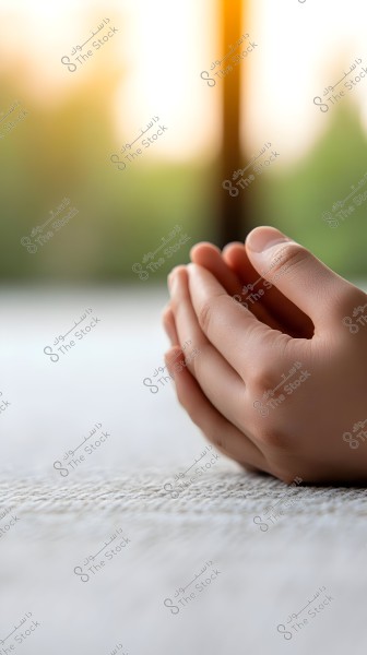 The image shows a person\'s hands placed in a prayer position, with fingers gently intertwined. The palms are raised above a carpeted surface, and the background is blurred, featuring natural green colors indicating a natural setting or garden in daylight.