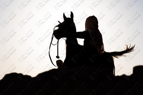 Silhouette shot of a Saudi man riding a horse during sunset, horse breeding, equestrian, learning to ride a horse.