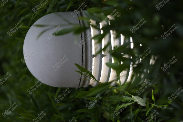 A circular electric lamp covered with green leaves. The lamp is lit and dimly hidden among the dense foliage. The surrounding environment is filled with green plants, creating a sense of nature and tranquility.