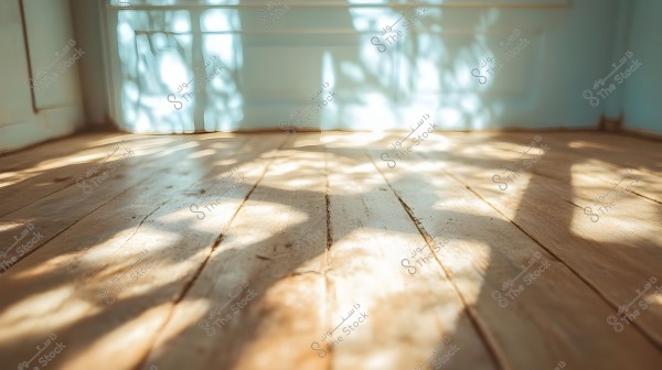Shadows of leaves and trees are cast on a wooden floor in a sunlit room. The background shows a pastel blue-painted wall, adding a serene atmosphere to the scene.