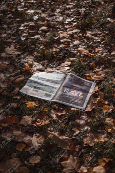 An open magazine on the ground covered with dry leaves during autumn.