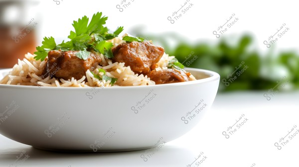 Image of a white bowl filled with long-grain basmati rice topped with grilled meat chunks and garnished with green parsley leaves. The background is blurred, showing green leaves, adding a natural touch to the overall atmosphere of the image.