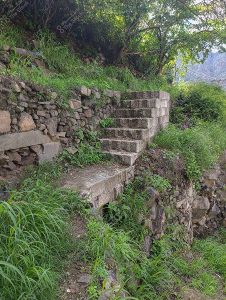 A stone staircase leading up a slope, surrounded by lush green plants and dense trees under sunlight. The wall is built of natural stones and extends across the slope covered with vegetation.
