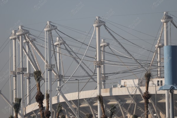 The image shows part of a sports stadium featuring a complex structure of metal cables and supports. The design includes tall white pillars supporting the roof of the building, with small palm trees in the foreground. The sky is clear with a dark blue background.