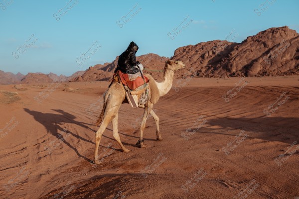 The image shows a person in dark clothing sitting on a camel in a vast desert landscape. The ground is brown with rocky hills in the background. The sky is blue and clear.