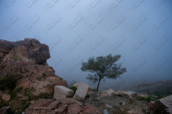 Fog passing over the mountainside from Al Hada, Taif, Saudi Arabia, in winter