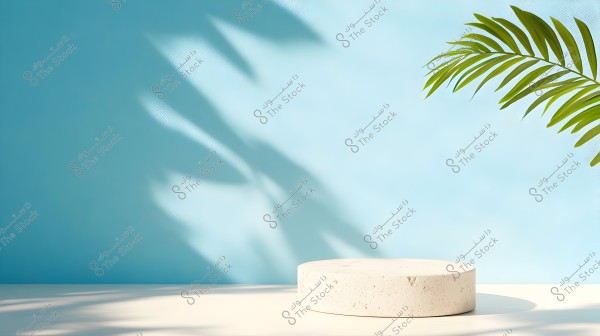 An image showing a cylindrical white stone podium placed on a light-colored surface. In the background, there is a light blue wall with shadows of green foliage on the upper left side. A palm leaf extends from the top right corner towards the center of the image.