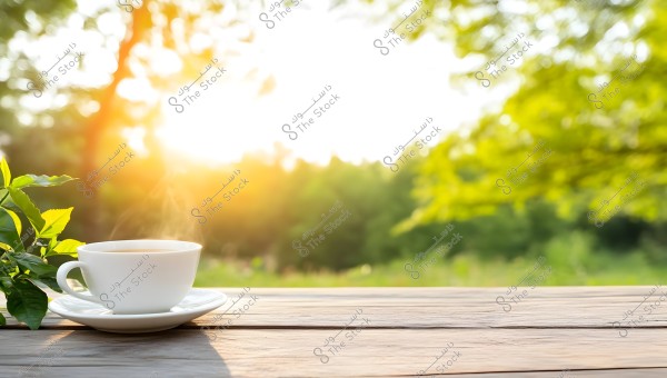A white cup of coffee on a white saucer placed on a wooden table outdoors. In the background, lush greenery and golden sunlight create a serene atmosphere.