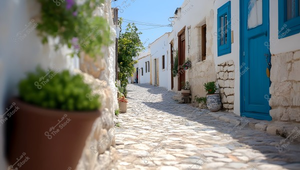 An image of a charming alley in a Mediterranean village, featuring a cobblestone path surrounded by white houses and stone walls. The doors and windows are painted in striking blue colors, with plants and flowers in pots adorning the sides. The clear blue sky enhances the serene and peaceful atmosphere.