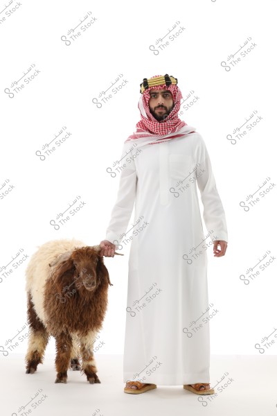 Image of a man wearing a white thobe, red-checkered shemagh, and agal, standing beside a brown and white sheep against a white background. The attire suggests traditional clothing from the Arabian Gulf region.