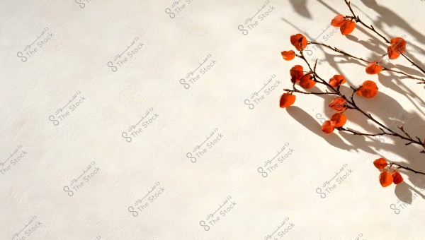 An image of a dry branch with scattered orange leaves in the right corner, casting shadows on a neutral white background. The natural lighting creates a subtle contrast between the leaves and the smooth surface.