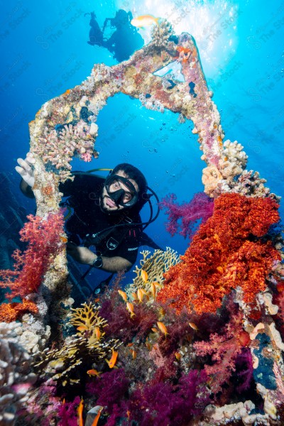 A snapshot of a group of divers surrounded by coral reefs and fish in the depths of the sea, oceans and seas, sea creatures, marine life, ocean depths and seas.