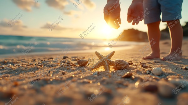 Image of a young child standing on a sandy beach at sunset. In the foreground, there is a starfish and scattered seashells on the sand. The child’s hands are reaching downwards near the starfish. The ocean is visible in the background with gentle waves, and the sky is lit with sunset-colored clouds.