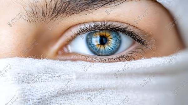 A close-up image of a blue eye surrounded by thick eyelashes, with the face partially covered by a white fabric, revealing only the upper and lower parts of the eye, highlighting the vibrant colors of the eye and the details of the eyelashes.