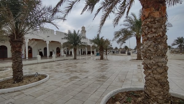 The image shows a large outdoor courtyard adorned with palm trees, featuring a white building with arches and arched windows in the background, including a mosque with a minaret. The courtyard is tiled, and the palm trees are planted in circular concrete enclosures.