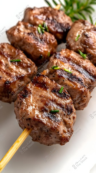 Several grilled meat chunks skewered on a wooden stick, displayed on a white surface. The meat shows clear grill marks with some green herbs like parsley or cilantro scattered on top.