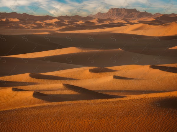 لقطة للكثبان الرملية الذهبية في الصحراء السعودية وتظهر السماء صافية  نهارًا ، الربع الخالي ، مناطق صحراوية، مصممة بواسطة الذكاء الاصطناعي