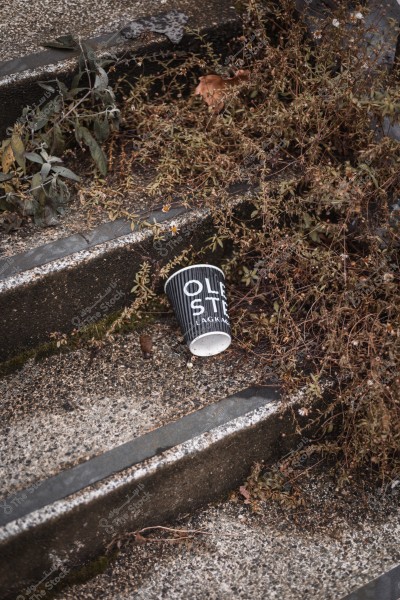 A discarded paper cup on abandoned steps with dry plants.