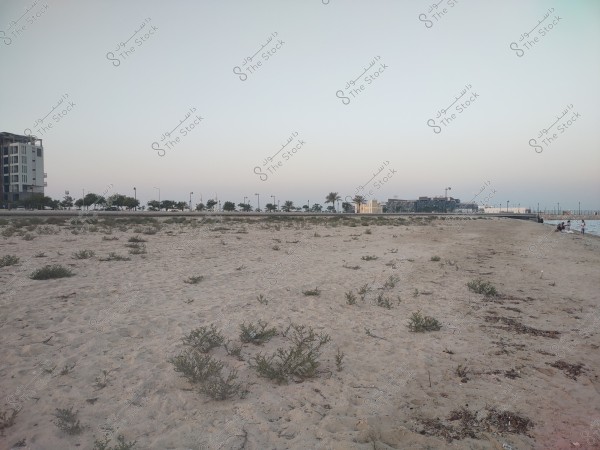 An image of an empty sandy beach at sunset with some scattered plants. In the background, there are modern buildings and a road lined with trees. On the right side, the sea is visible with two people sitting near it.